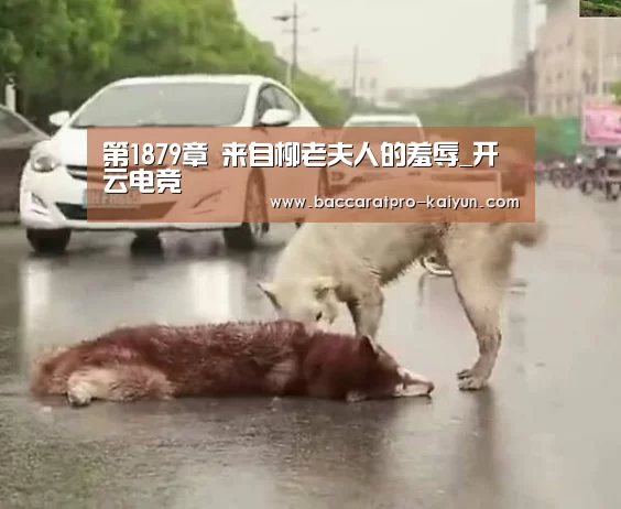 第1879章 来自柳老夫人的羞辱_开云电竞(图1) 开云入口