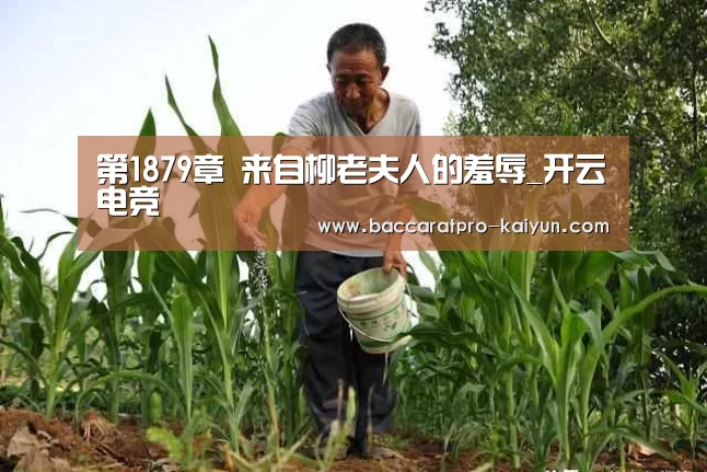 第1879章 来自柳老夫人的羞辱_开云电竞(图3) 开云登录