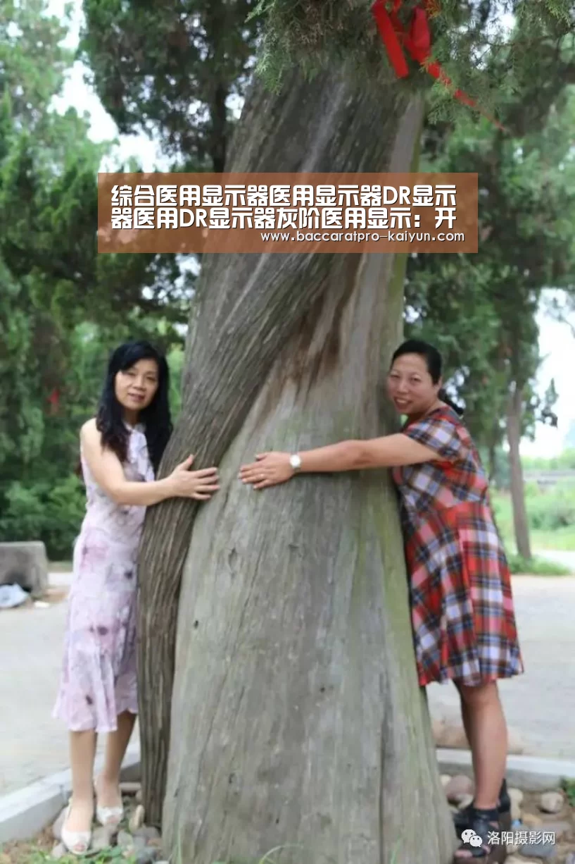 开云入口