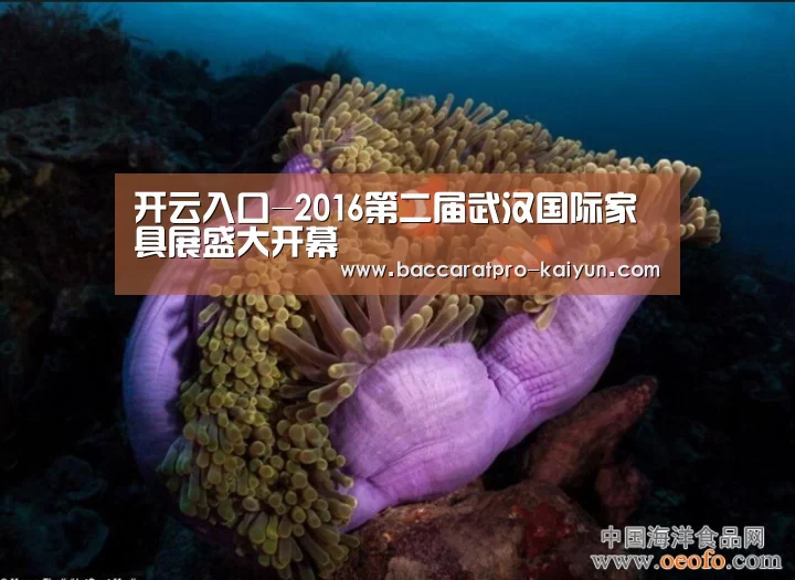 开云入口-2016第二届武汉国际家具展盛大开幕(图2) 开云登录