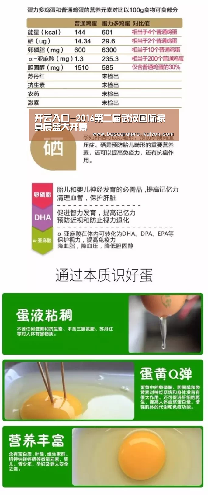 开云入口-2016第二届武汉国际家具展盛大开幕(图3) 开云入口