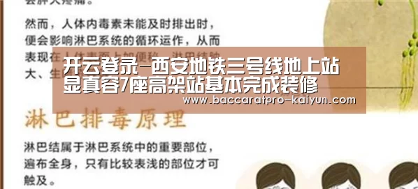 开云登录