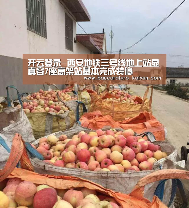 开云入口