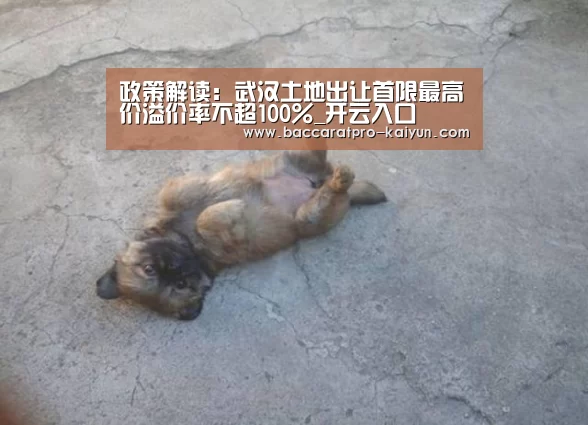 政策解读:武汉土地出让首限最高价溢价率不超100%_开云入口(图1) 开云入口
