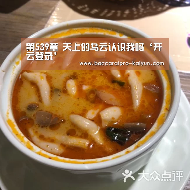 第539章 天上的乌云认识我吗‘开云登录’(图1) 开云电竞