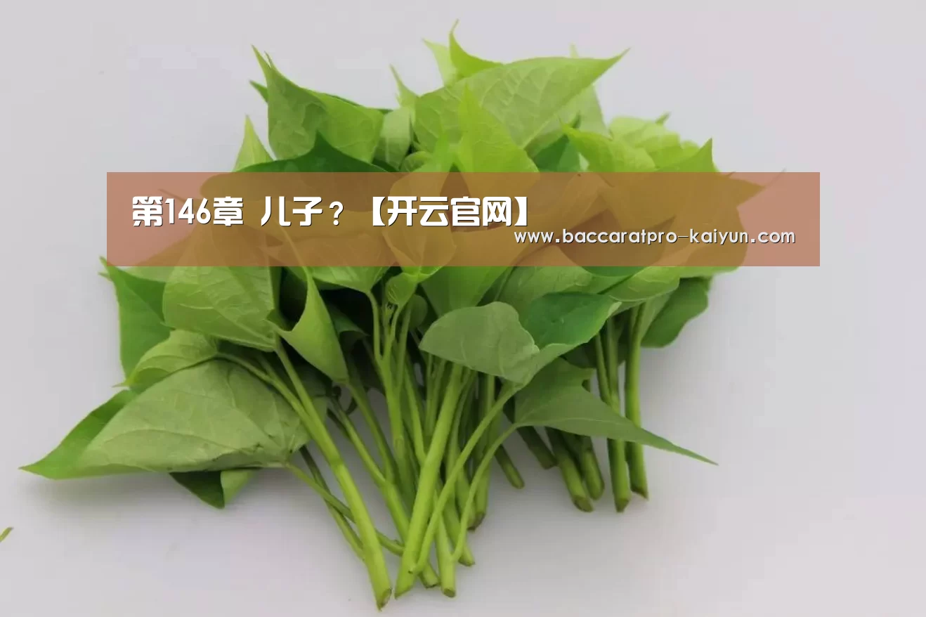 第146章 儿子?【开云官网】(图1) 开云电竞