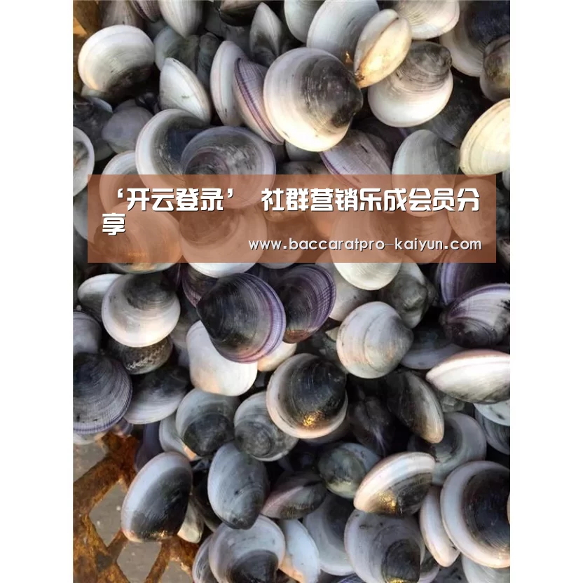 开云官网