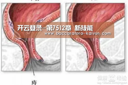 开云入口