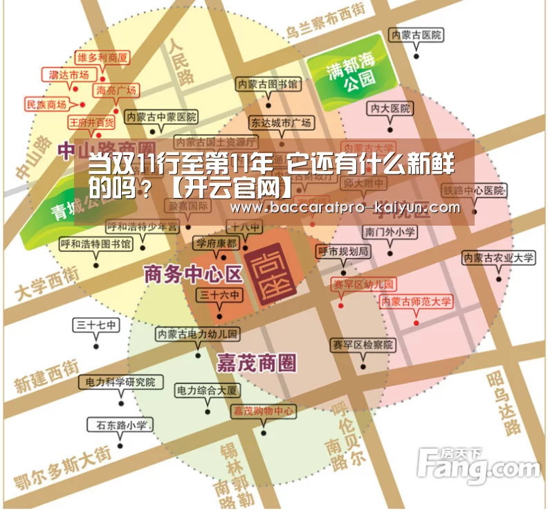 开云电竞