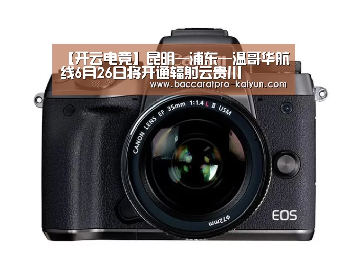 【开云电竞】昆明—浦东—温哥华航线6月26日将开通辐射云贵川(图3) 开云官网