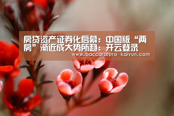 房贷资产证券化启幕:中国版“两房”渐近成大势所趋:开云登录(图4) 开云官网